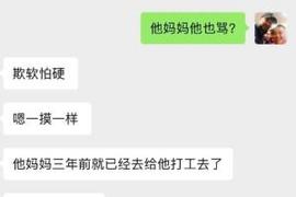 李平康：戴琳对母亲也经常辱骂 他母亲借钱+外出打工帮他还债