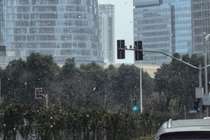 张镇麟感叹“原来上海可以下这么大雪” 回复付豪：我照顾好咱妈
